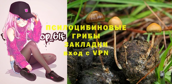 тгк Аркадак