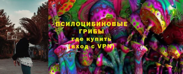 ПСИЛОЦИБИНОВЫЕ ГРИБЫ Армянск