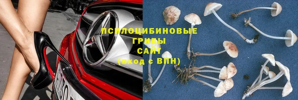 тгк Аркадак