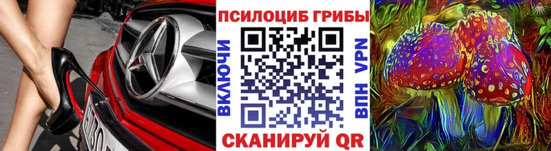 Псилоцибиновые грибы мицелий  Зеленоградск 