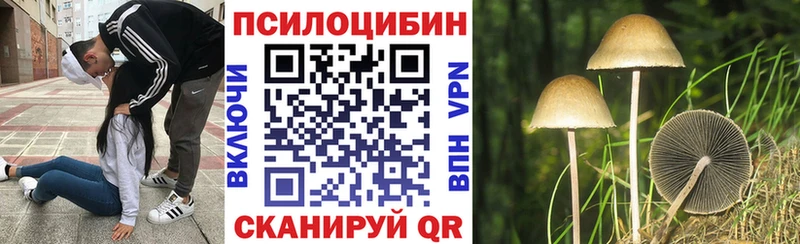 Галлюциногенные грибы Psilocybine cubensis Зеленоградск